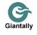 Jiangsu Giant Ally Imp&exp Co., Ltd. Logo