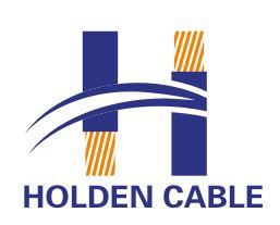 Ningbo Holden Cable Co., Ltd. Logo