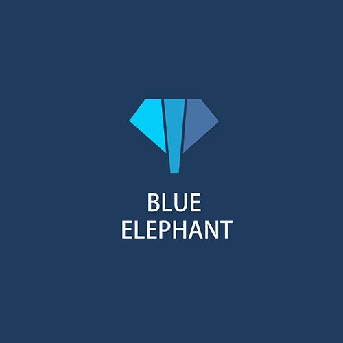 Jinan Blue Elephant Cnc Machinery Co., Ltd. Logo