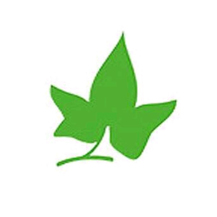 Yantai Evergreen Packaging Co., Ltd. Logo