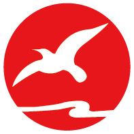 Zhongshan Flyinglighting Factory Logo
