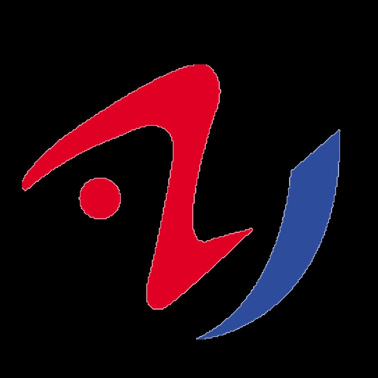 Zhongyou Heavy Industry Machinery Equipment Co., Ltd. Logo