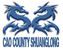 Cao County Shuanglong Trading Co., Ltd. Logo