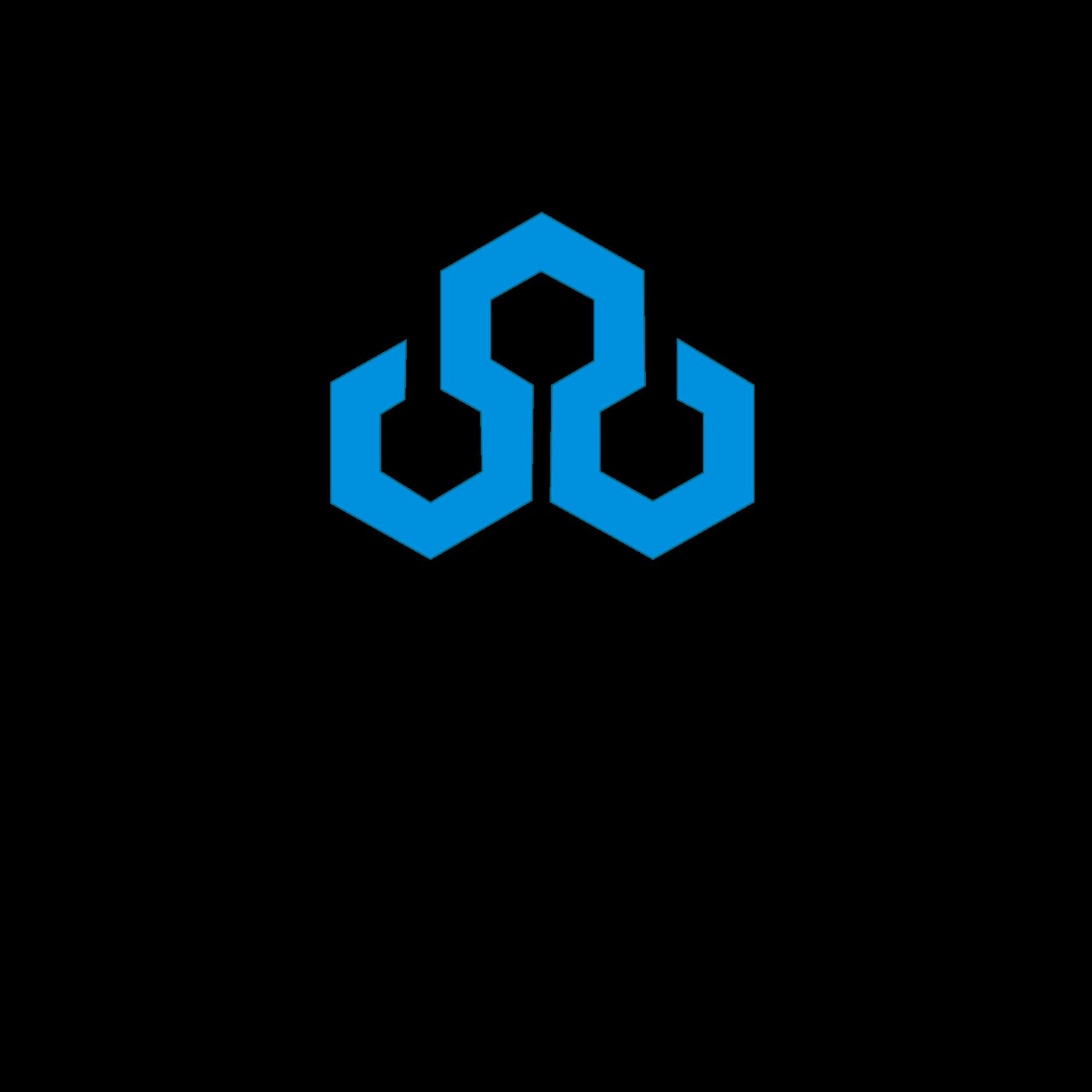 Dongguan Pinnuosheng Packaging Materials Co., Ltd. Logo