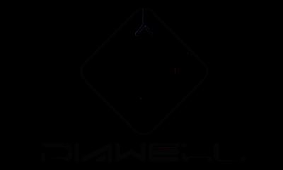 Bazhou Dowell Furniture Co., Ltd. Logo