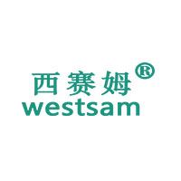 Westsam Technology (shenzhen) Co., Ltd. Logo