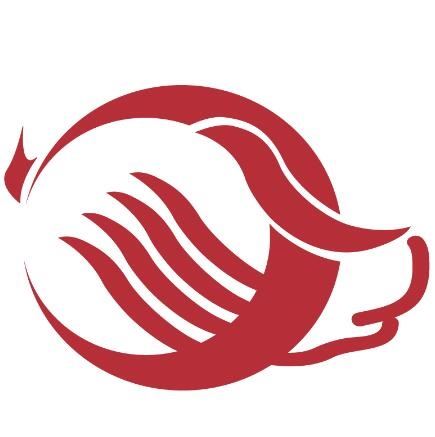 Qingdao Zaphue International Trade Co., Ltd. Logo