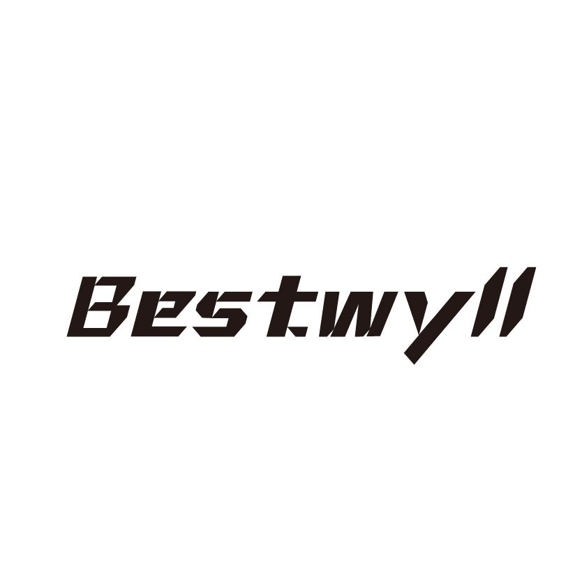 Foshan Baitai Auto Accessories Co., Ltd. Logo