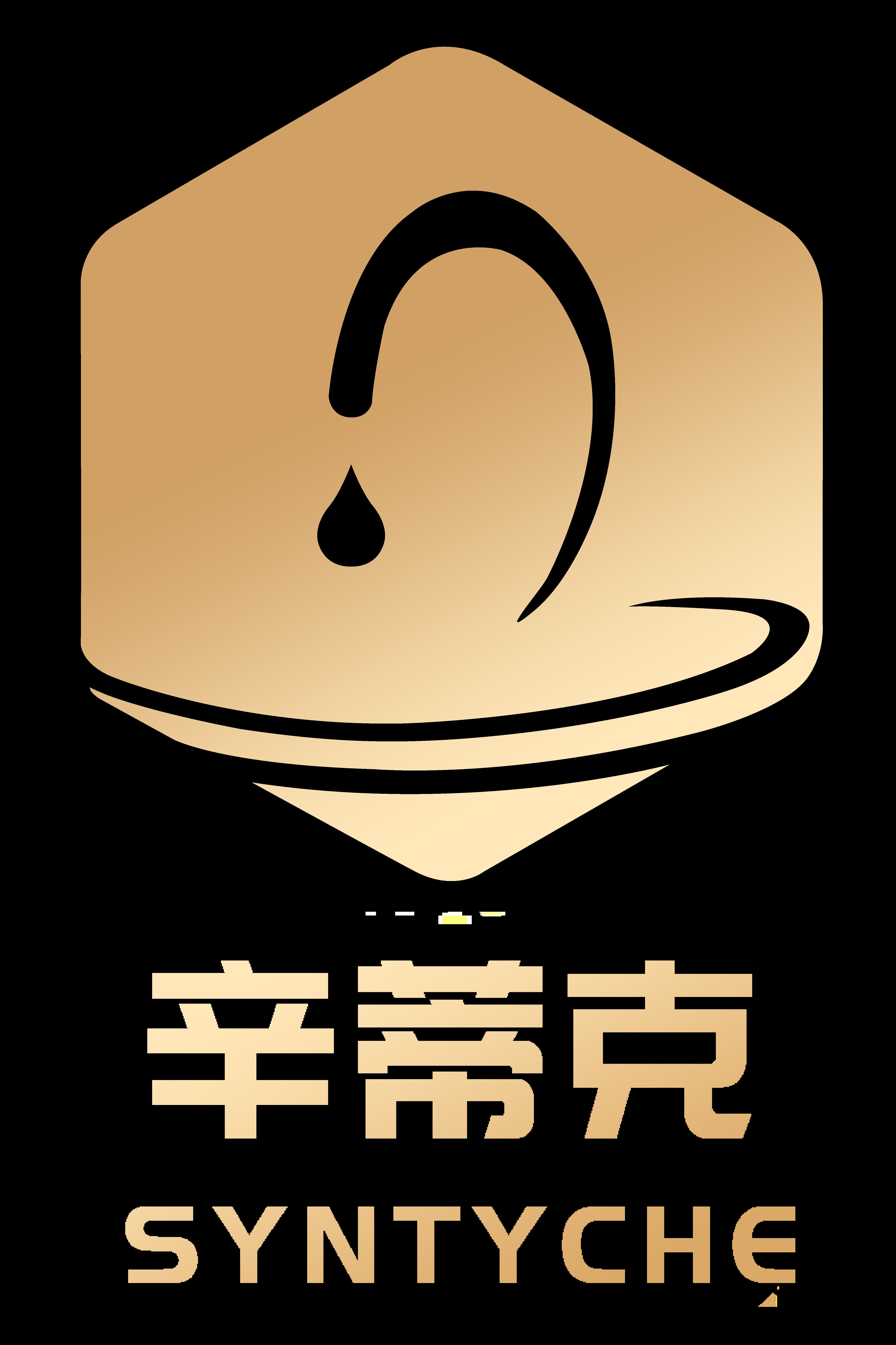 Xiamen Syntyche Technology Co., Ltd. Logo