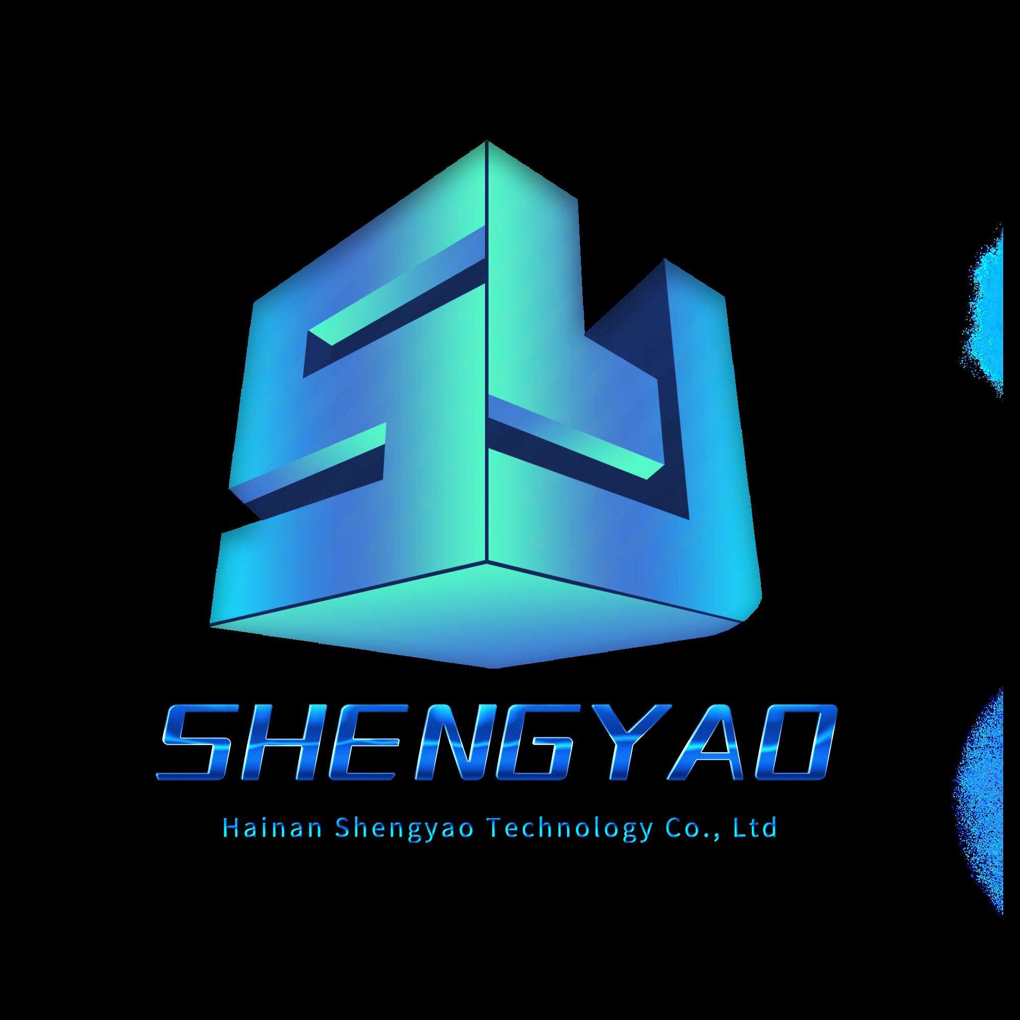 Hainan Shengyao Technology Co., Ltd. Logo