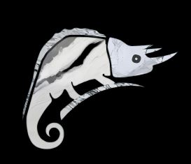 Shenzhen Chameleon Stone Industry Co., Ltd. Logo
