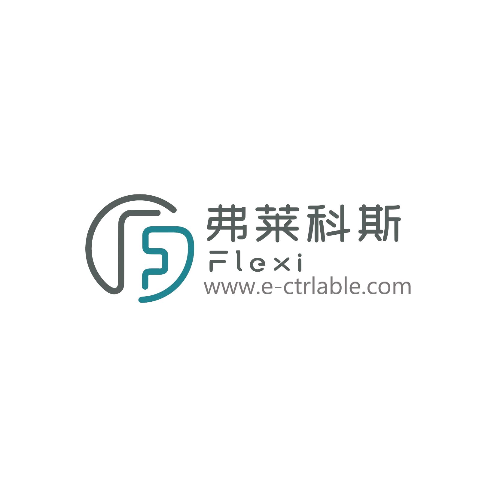 Changzhou Flexi Electronic Co., Ltd. Logo