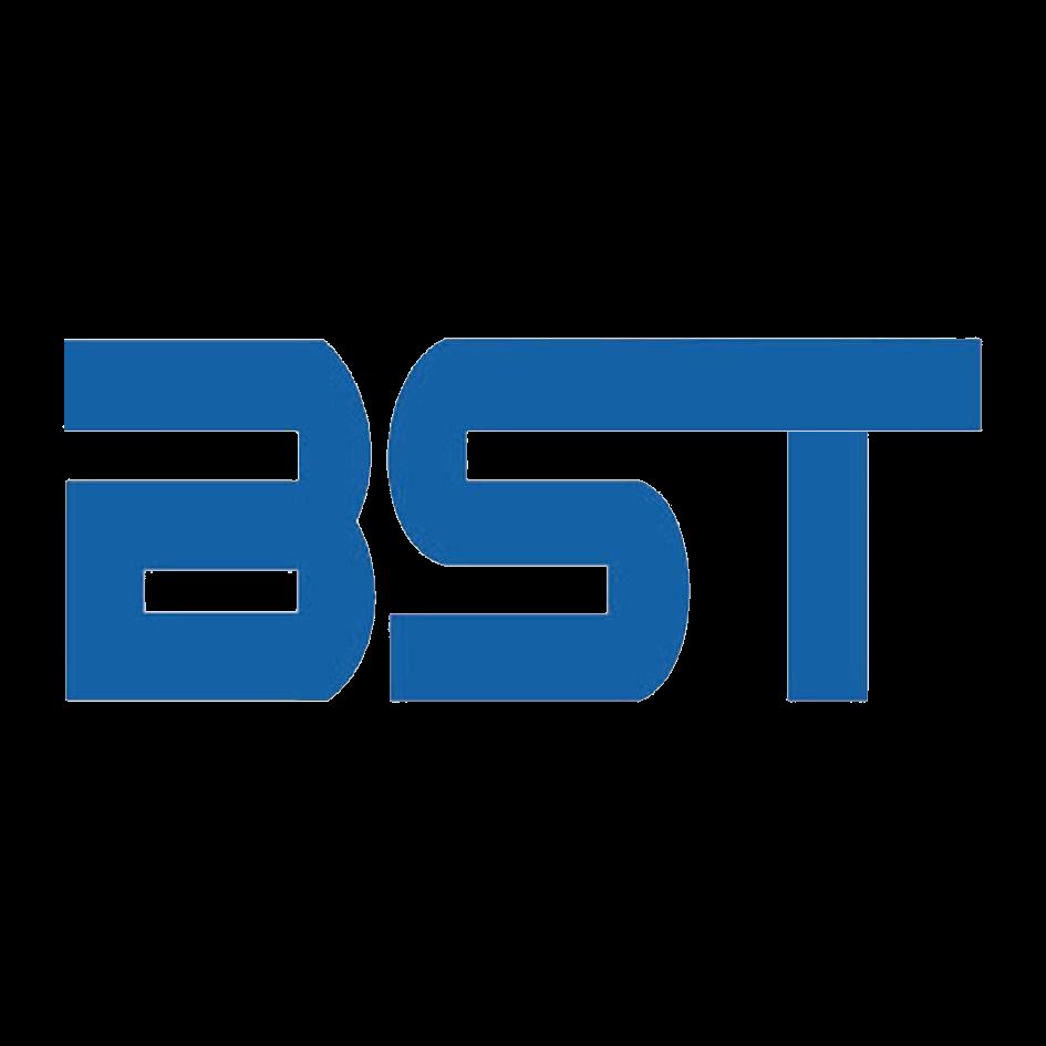 Shandong Baisitong Industrial Co., Ltd Logo