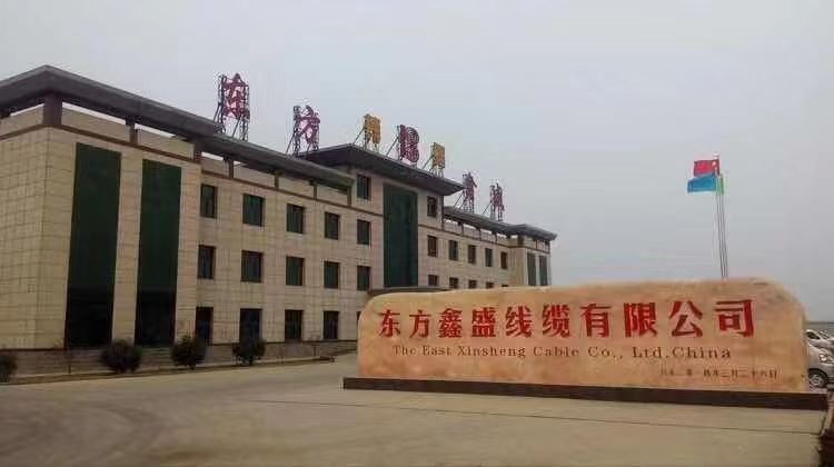 Tangshan Dongfang Xinsheng Technology Co., Ltd. Logo
