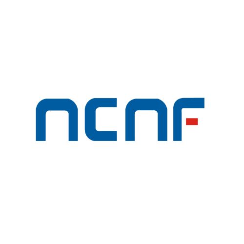 Nanchang Nanfei Technology Co., Ltd. Logo